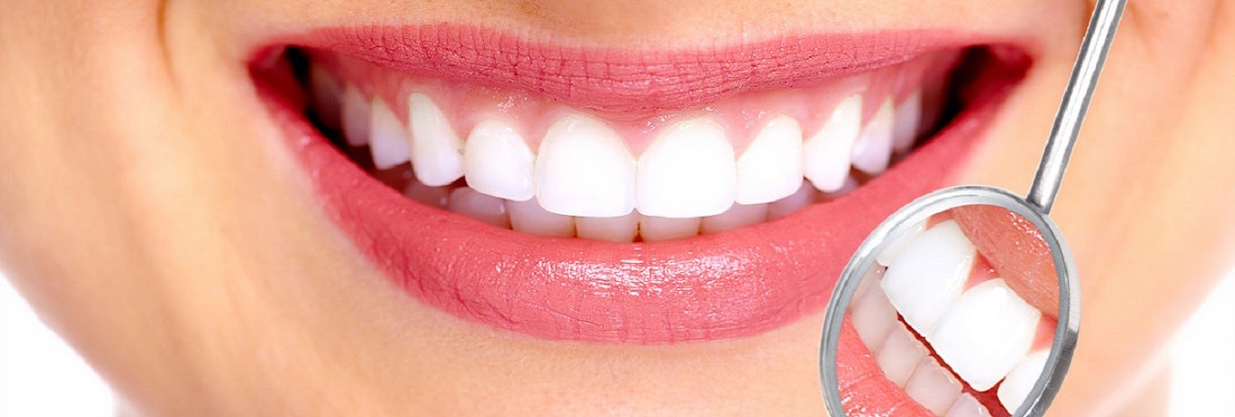 Dentist Dentist